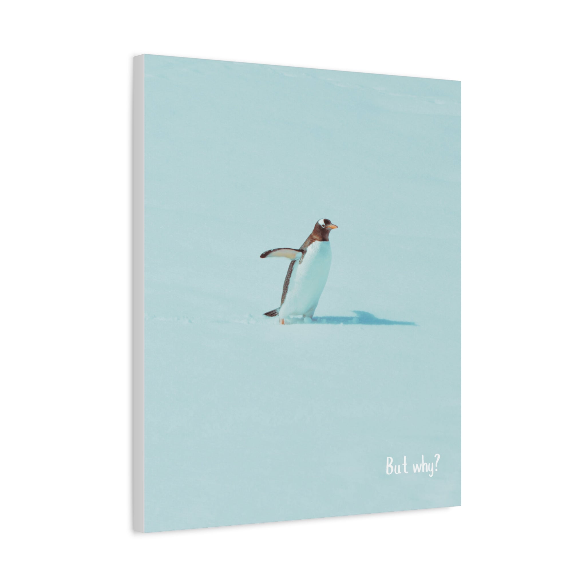"But Why?" - Inspirational Viral Penguin Matte Canvas, Stretched, 1.25"
