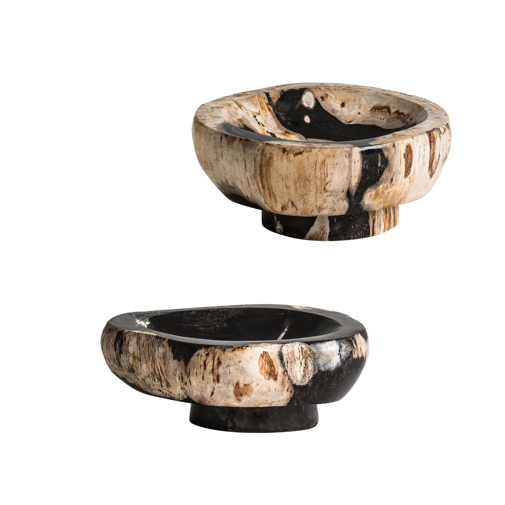 Petrified Wood Bowl - Multicolored Ethnic Decorative