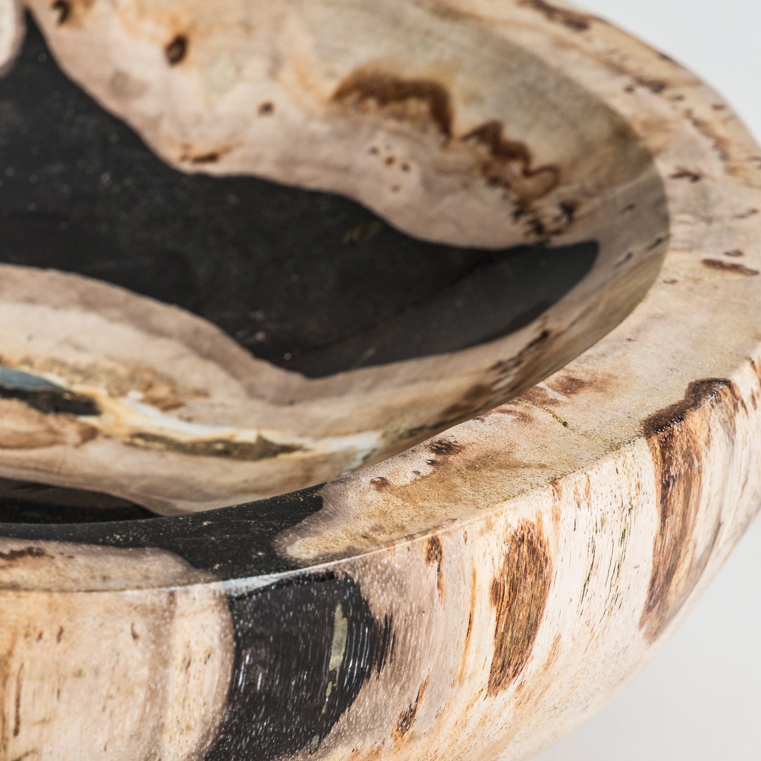 Petrified Wood Bowl - Multicolored Ethnic Decorative
