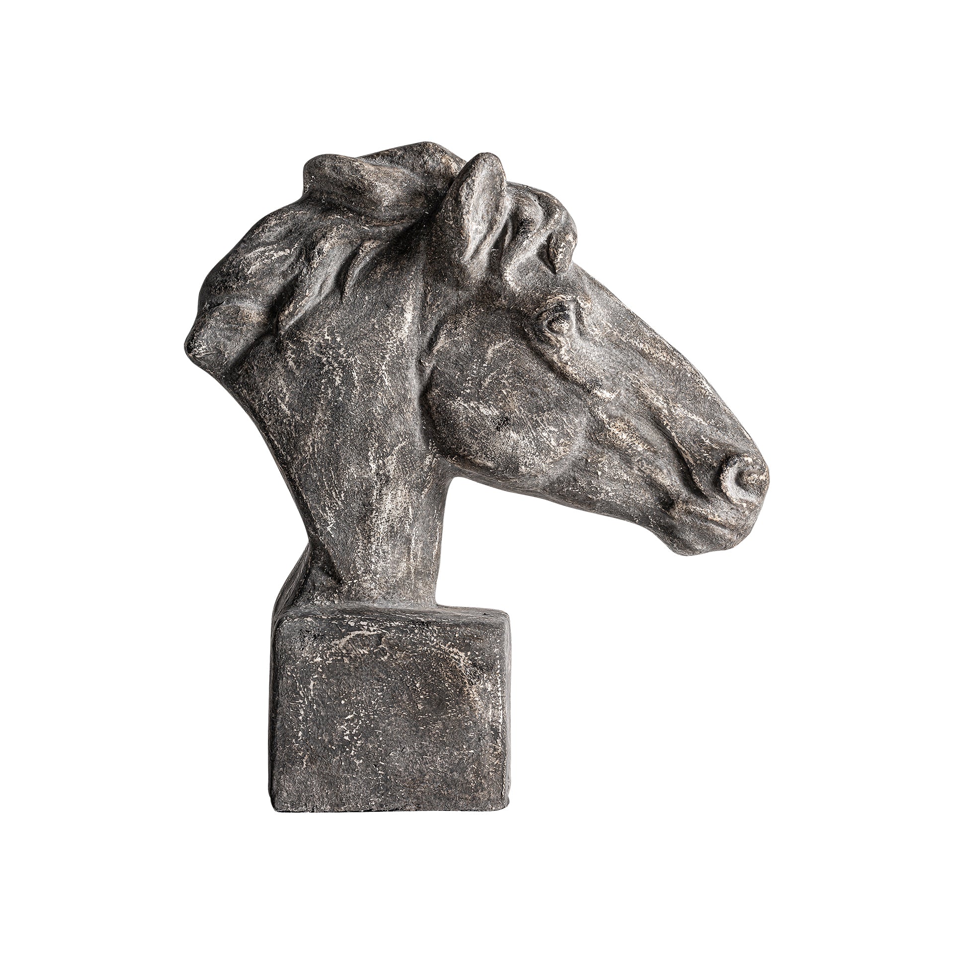 HORSE BUST