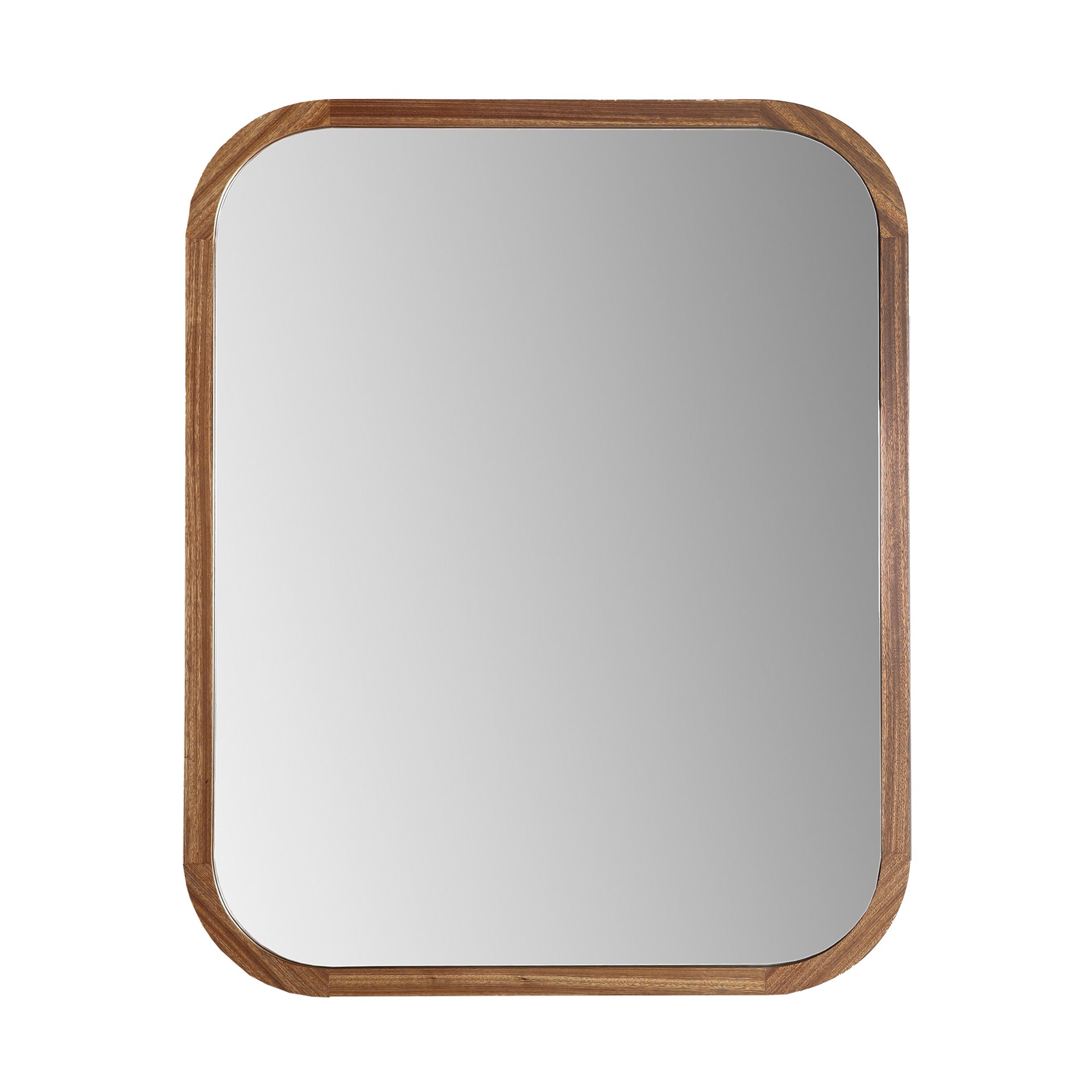 BUSK MIRROR