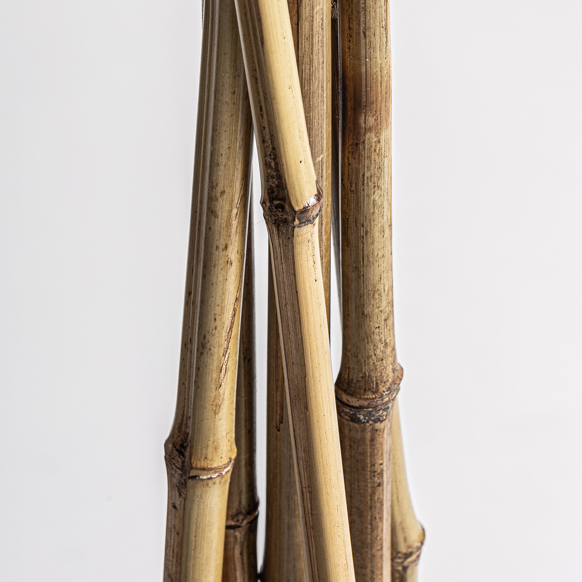 DECARATION BRANCH (SET OF 6)