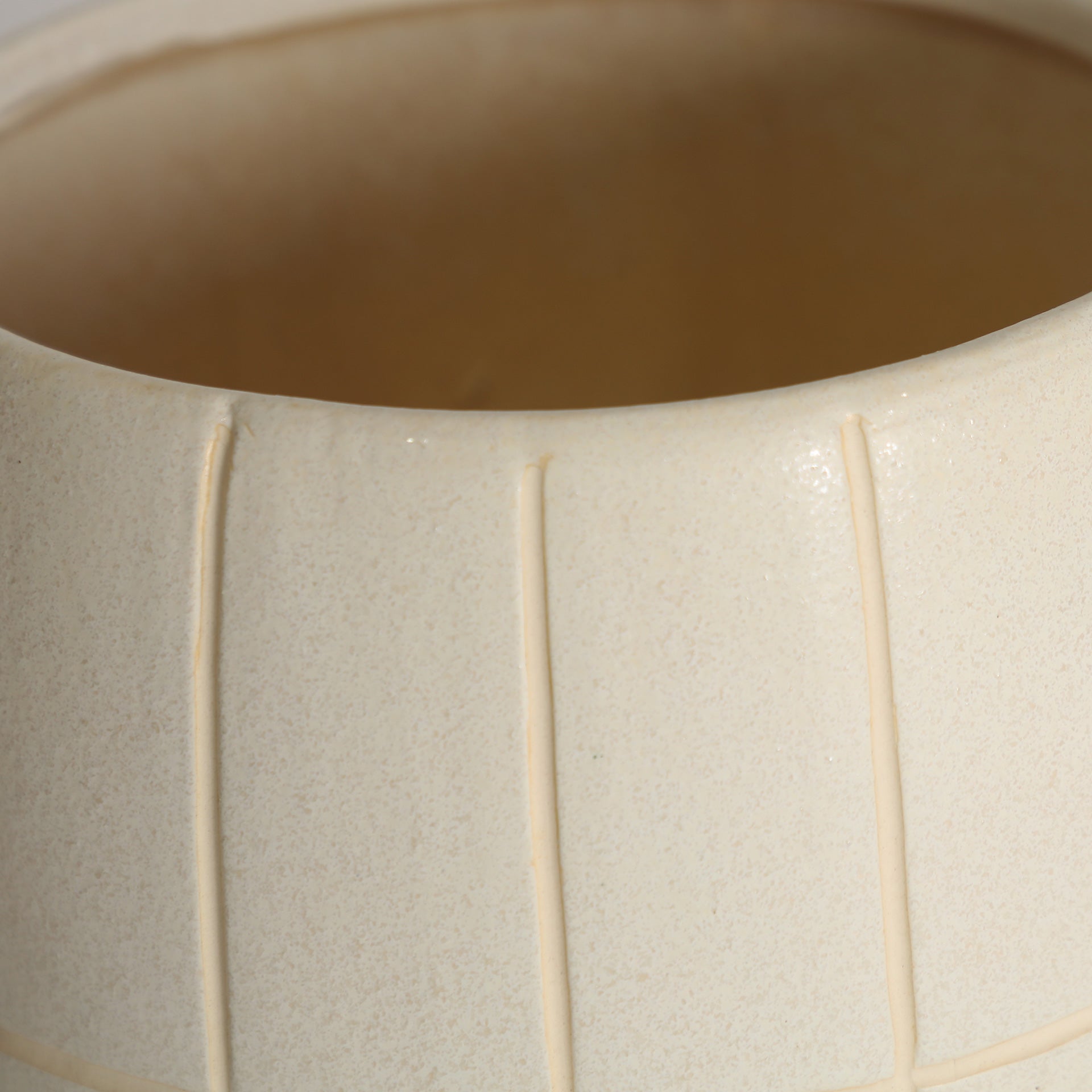 CHEWY PLANT POT