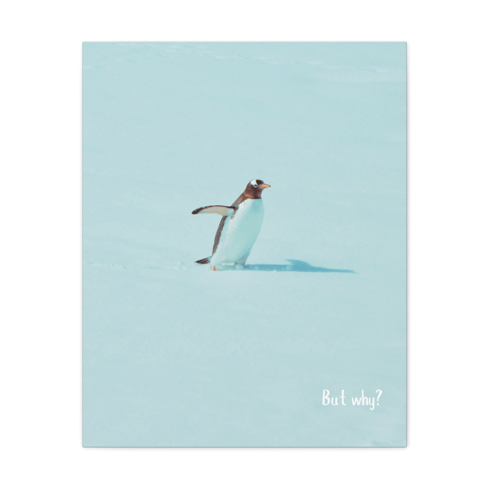 "But Why?" - Inspirational Viral Penguin Matte Canvas, Stretched, 1.25"