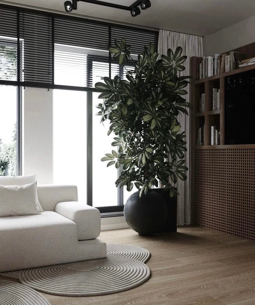 SNOWY Sofa – Low Lines, Deep Comfort