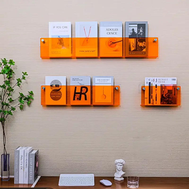 PrismGlow Acrylic Wall Mount Literature Organizer