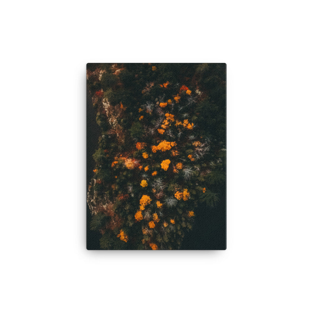 Walk in Forest Canvas