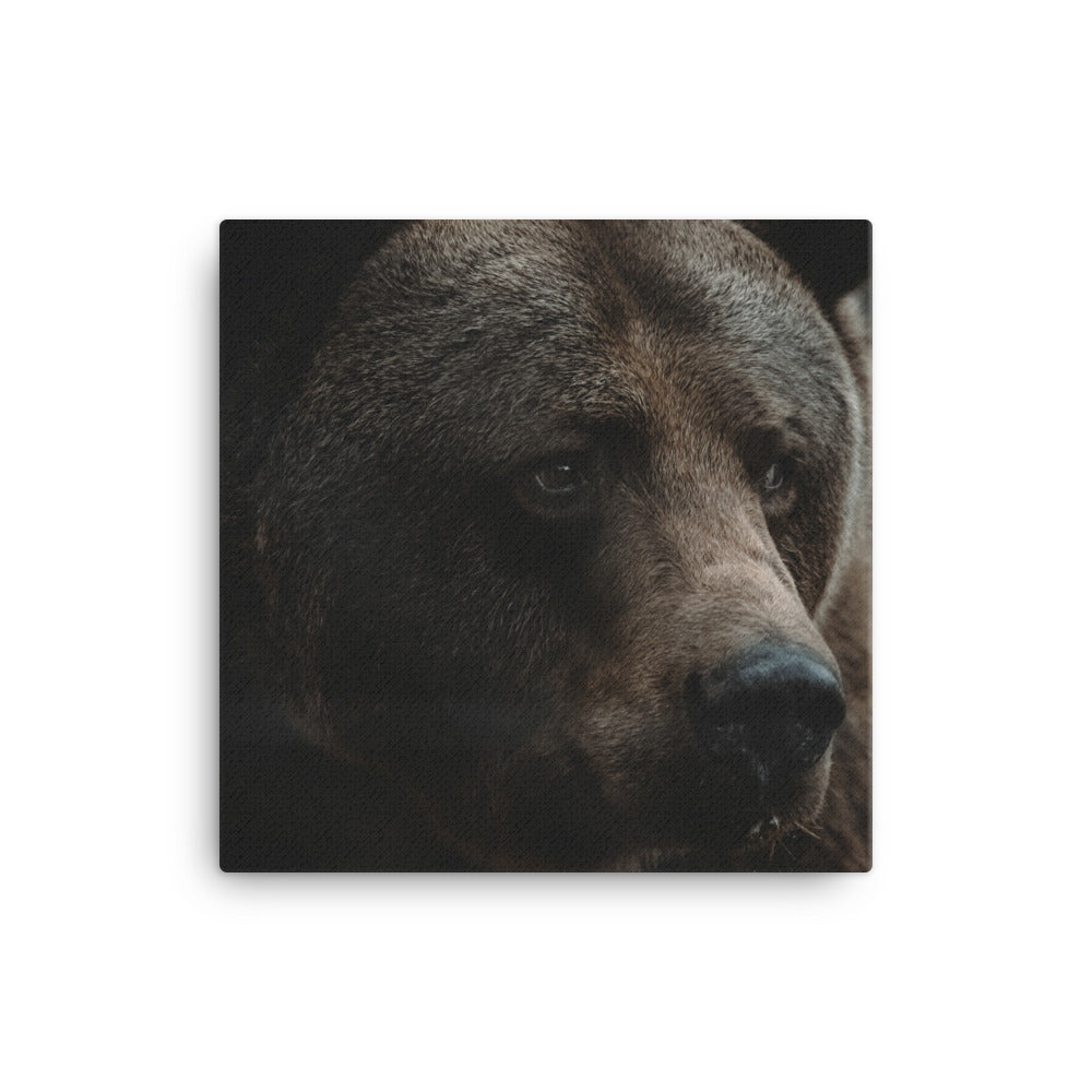 King Of The Forest Canvas