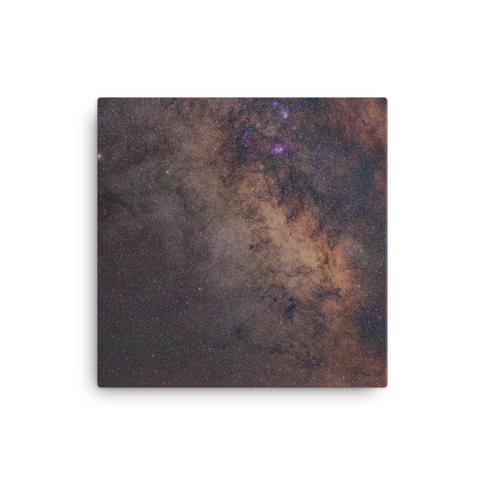 Stargazing Canvas