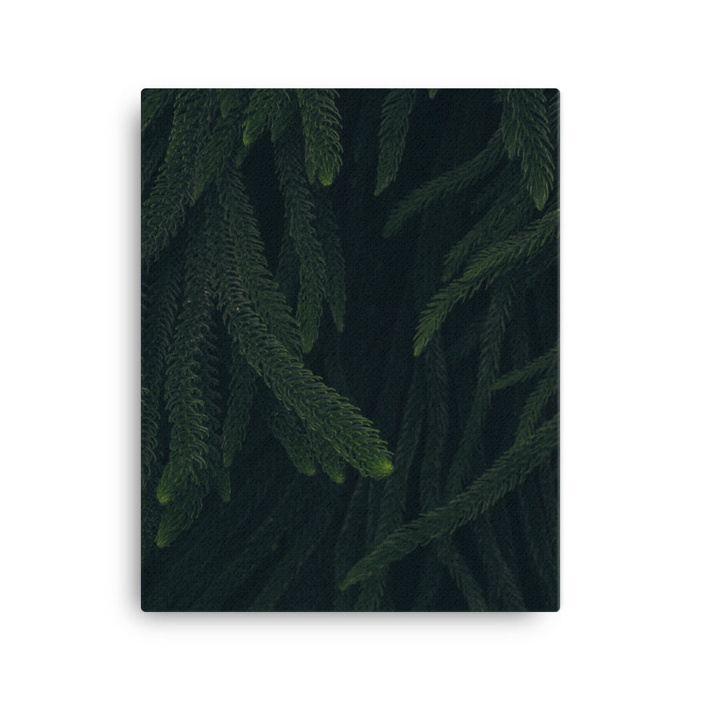 Deep woods Canvas print