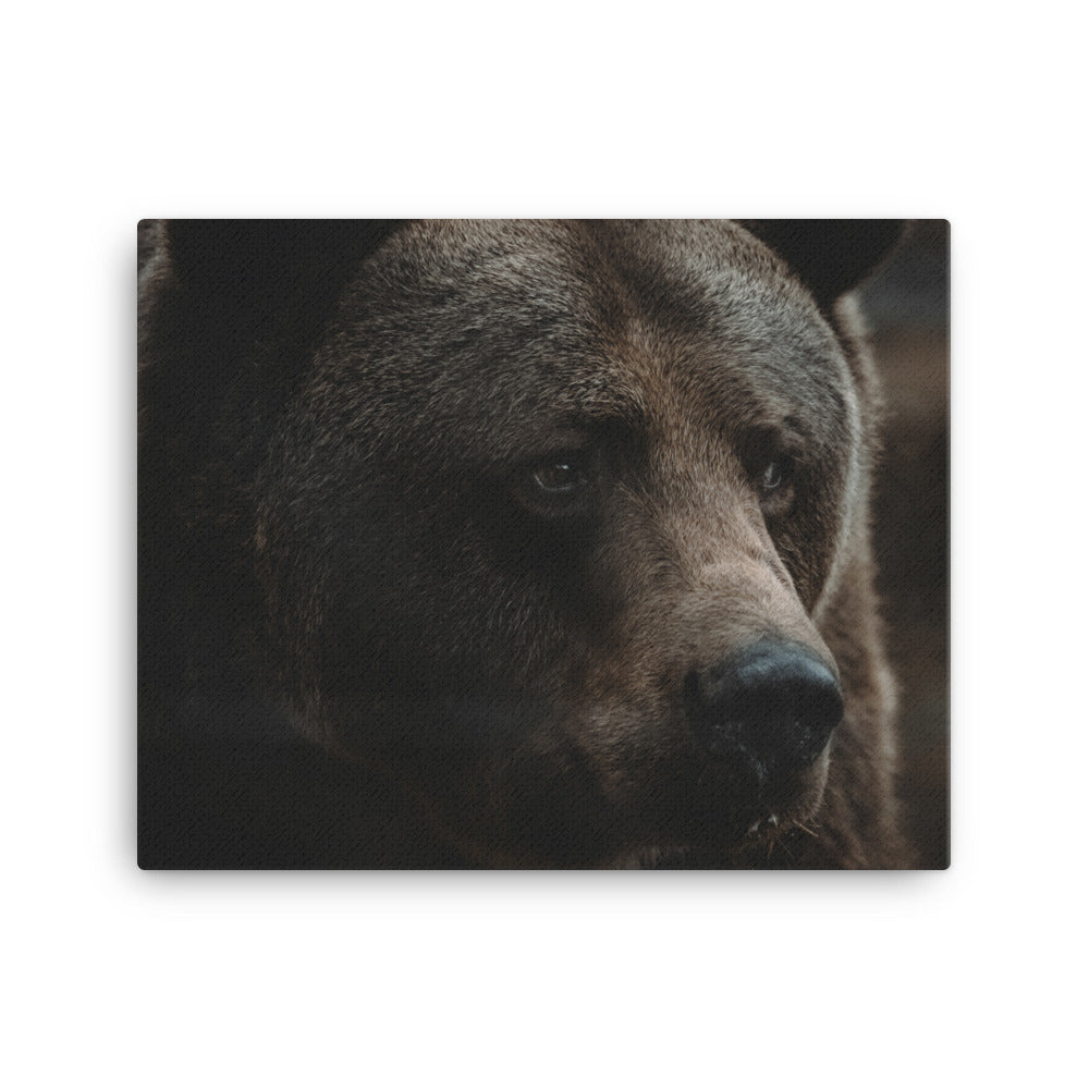 King Of The Forest Canvas