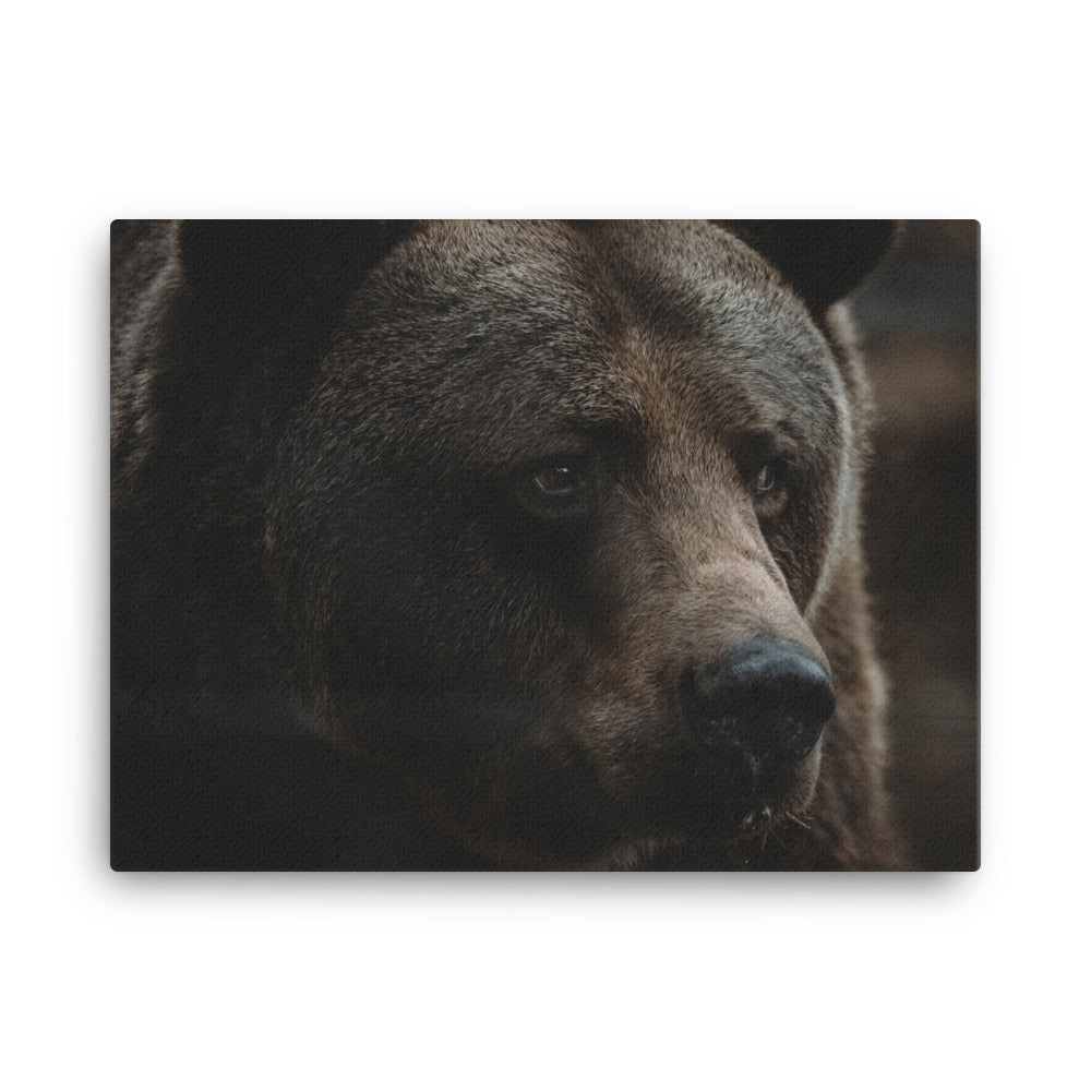 King Of The Forest Canvas