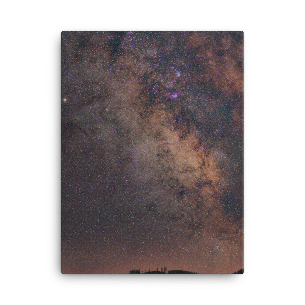 Stargazing Canvas